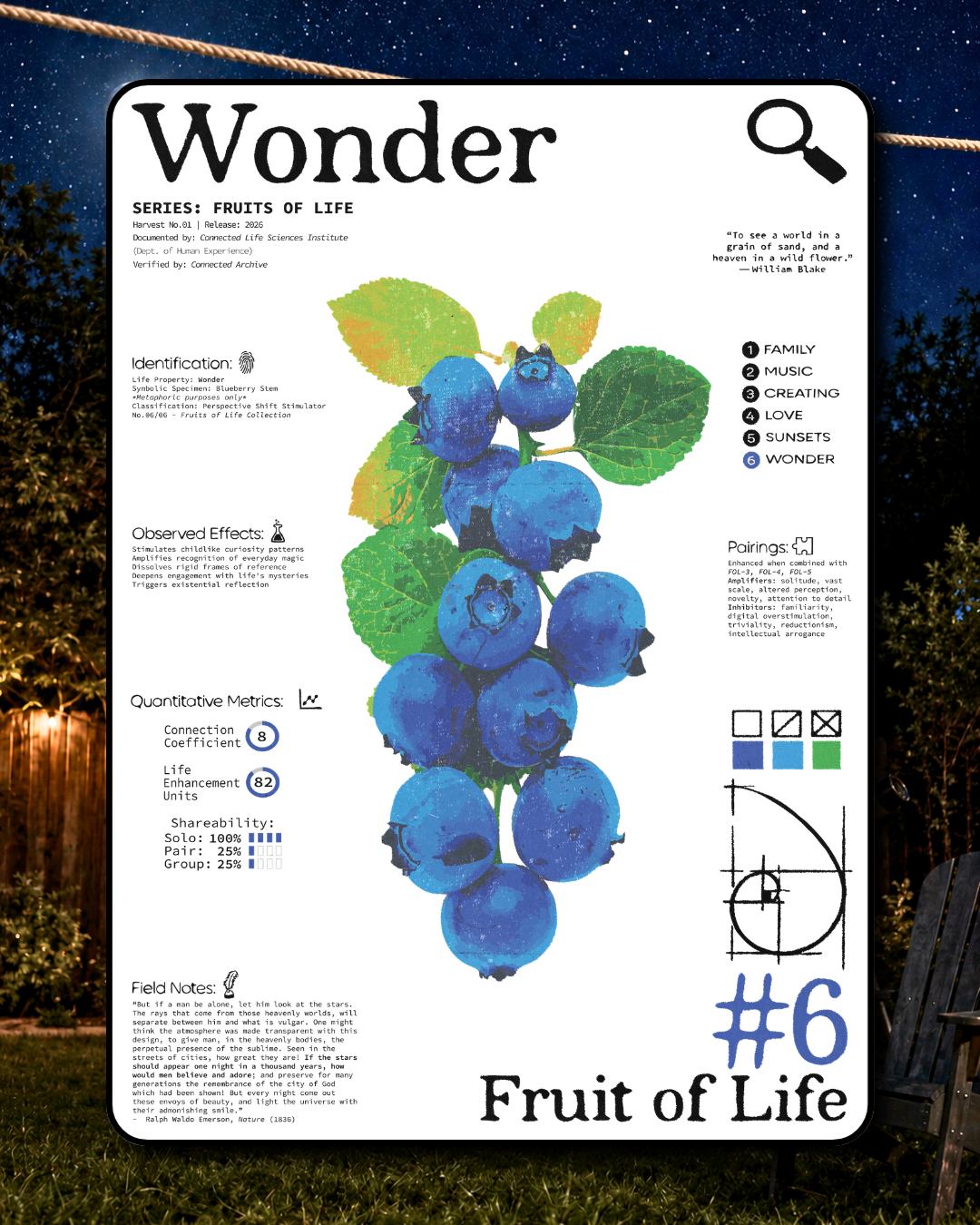 Wonder